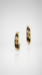 Double Curve Gold Hoop Earrings